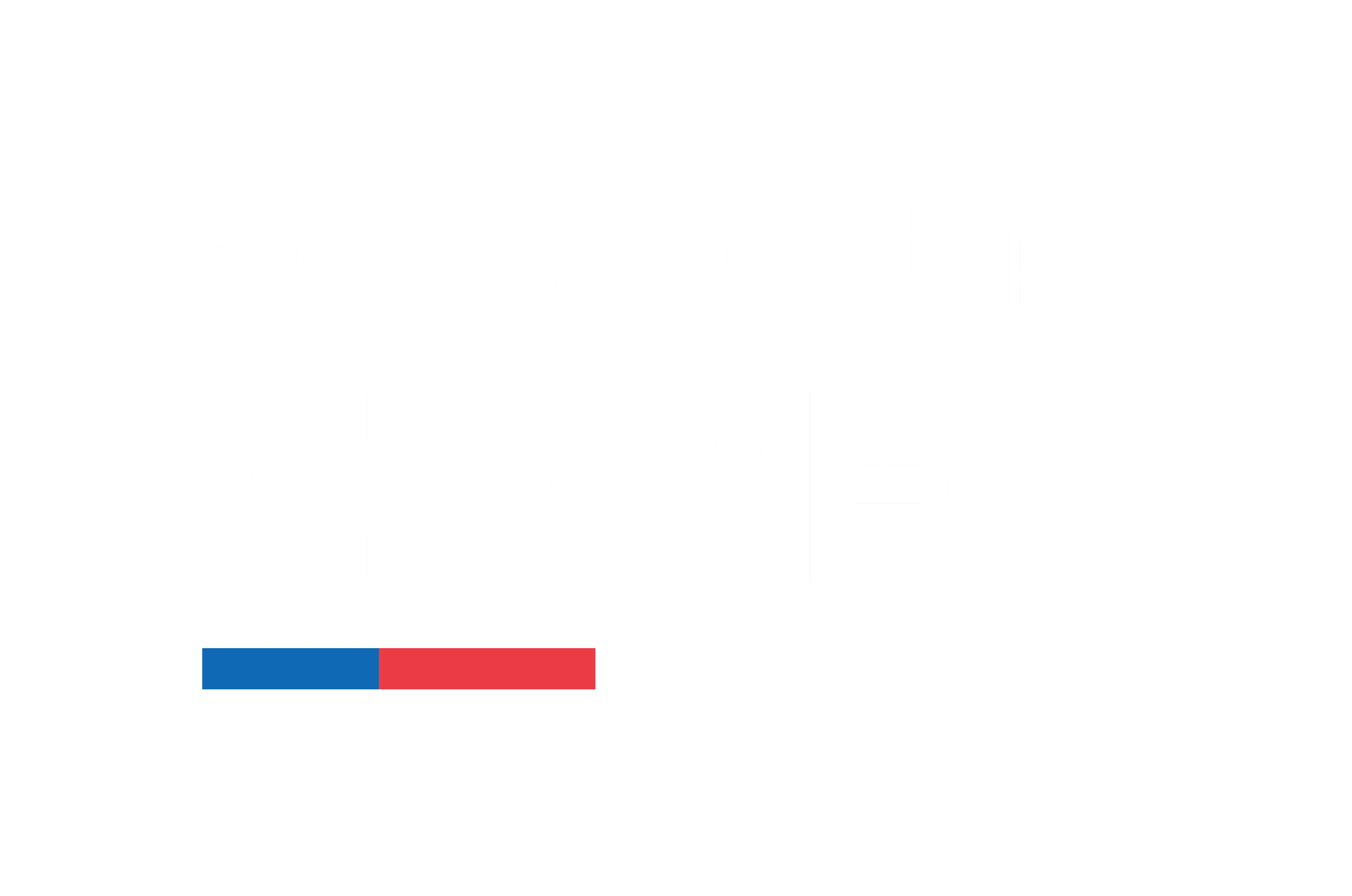 Logo Corfo