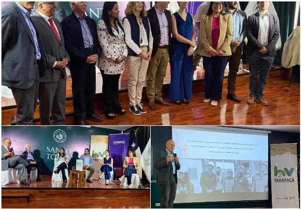 Agencia Sesnich participa en seminario sobre hidrógeno verde