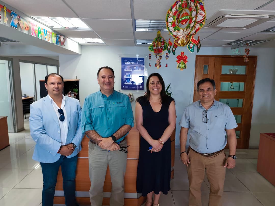 Presentación Estado de Avance proyecto Bienes Públicos